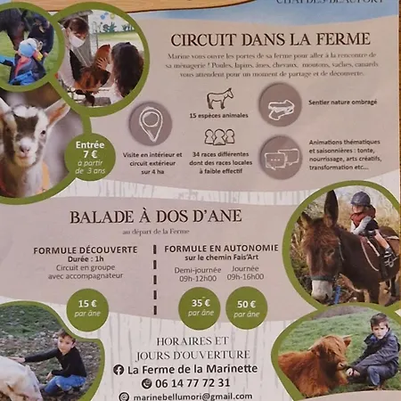 Dom wakacyjny Chez Robert Bromont-Lamothe